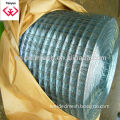 Galvanized Welded Wire Mesh(hot sale)